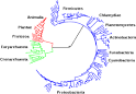 Metabolism - Wikipedia, the free encyclopedia
