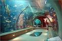 Winner of the Aquarium of the Pacific tickets!