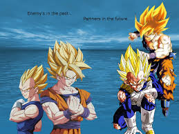 Son Goku Vegeta Wallpaper -016