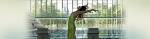 PINA - A film for PINA BAUSCH by WIM WENDERS - contact