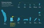 Diving into the cold water | Visual.