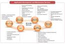 Application Management Services, Distributed Platforms Solutions ...