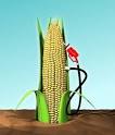 What is Biomass Energy and How Does it Work? - Powered By Mother ...