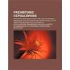 Prehistoric Cephalopods : Belemnoidea, Actinocerida, Endocerid ...