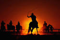 Cattle Rustling Reaches Record Levels: Old West Crime Makes a Big ...