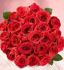 ����� ���� ������ ����� ���� images?q=tbn:ANd9GcRpRJEpTRJlmUVv4fJRs45UQElnPOmFdMGZN6uyUeZ7_KxFBsltcg