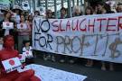 Australia: Animal Liberation protests whaling slaughter at ...