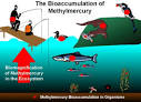 Environment Canada - Pollution and Waste - Environment and Health ...