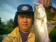 A barramundi caught on a