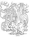Skunk coloring page