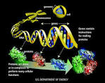 Genome | Broad Institute of MIT and Harvard