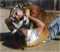 http://t3.gstatic.com/images?q=tbn:ANd9GcRrGNHy7qKQvmgLip67S5Tp28v3dx9729OsF-U5LVZ15x4AwDSU6V3cq9DI
