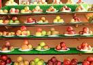 Apples, Blackmoor Fruit - via Daymix