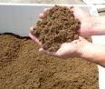 Manitoba Peat Moss
