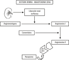 la <b>angiotensina I</b>,
