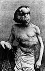 Image John McCain& 39;s <b>Elephant Man</b> Picture