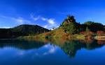 Reflection of Trees Wallpapers