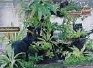 การจัดสวนหย่อมง่ายๆให้บ้านของเรา | homedec.in.th บ้าน