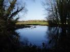 near to Fullerton, Hampshire, Great Britain - via Daymix