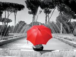 وآلپیپــــر چتـــــر... 1