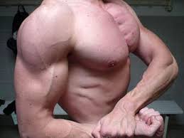 images?q=tbn:ANd9GcRsr7SFA3eT2Z0Ff4m6fXmPMsoD9upXA0QZsxF57qFnActgj6vcrQ