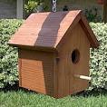 BIRD-HOUSE Hidden Camera w/ Built-In DVR