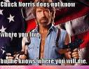 Chuck Norris Picture 4