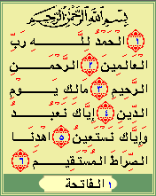 http://t3.gstatic.com/images?q=tbn:ANd9GcRtIk_VlT7bk5MCP06EV48BqS6XiiZonCEvKLOxpoJbaxrF0AIAEA