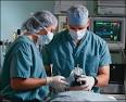 Anesthesiologist Training Class