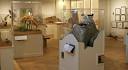 George B. Dorr Museum