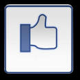 FACEBOOK icon - RocketDock.