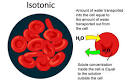 SPM Biology: Types of Solution - Isotonic