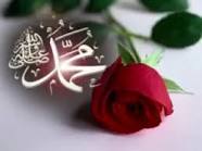 �brahim G�L YaLan D�nya