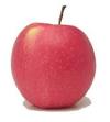 Cook's Thesaurus: Apples