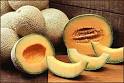 CANTALOUPES - public domain clip art image