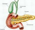 Pancreatitis - body, last, causes, What Is Pancreatitis?