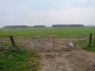 View from Several Hill Plantations across grazing lands and the Piltanton - via Daymix