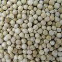 White Pepper, Buy White Pepper
