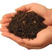 biodegrade.jpg