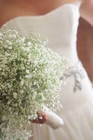 Small bouquets (or just a few flowers)...can we see them? :  wedding Images?q=tbn:ANd9GcRuqGOUbJ3VMfqYHqPaXATKkUSrYpCX YXTI7nC QtAFAedm80yNQ