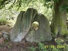 Devil's Ring And Finger - via Daymix