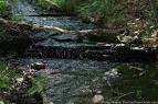 Got Creeks? What Is A Blue Line Stream, Anyway? - The Fun Times ...