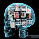 searching eyeballs is full - via Daymix