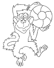 Monkey coloring page