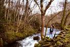 The River Sprint making its way to join the River Kent and thence to the - via Daymix