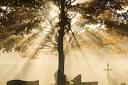 Who Will Be Crying At Your Funeral? - Forbes