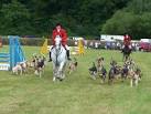 Mid Devon : Tiverton Horse &amp; Dog Show - via Daymix