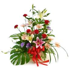 [صورة: images?q=tbn:ANd9GcRvplxFwL3G2vRgOw5ylmq...lPYagw2SSw]