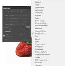 Quick Tip: How to Use the New Image Trace in Adobe Illustrator CS6 ...