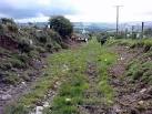 SN0428 : Don't upset these cows Near Tufton - via Daymix